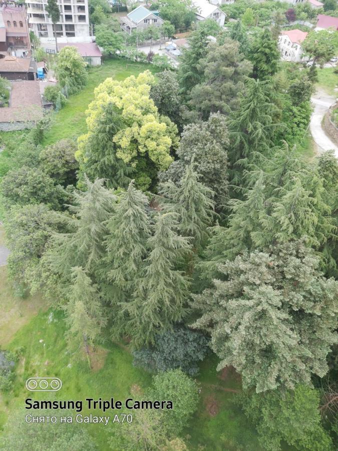 Квартира У Моря Колхида Makhinjauri Exteriér fotografie